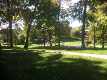 Hollyoak profile photo