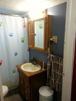 lainab profile photo