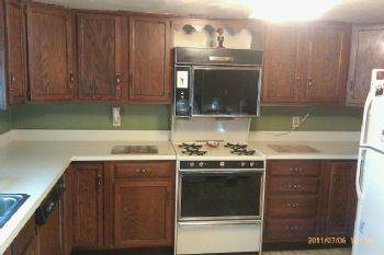 lainab profile photo