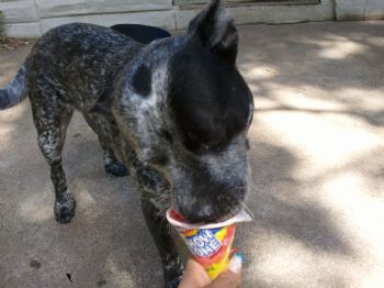 BrownShon profile photo