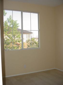 vineyard profile photo