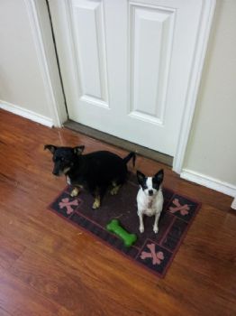 GuelFamily profile photo