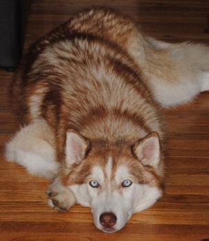 keila_nero profile photo