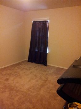 dave0761 profile photo