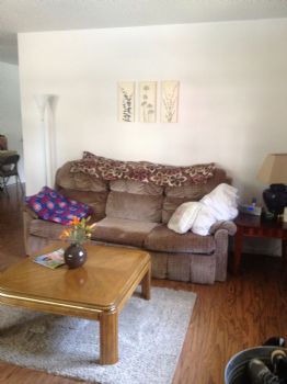 lexguess profile photo