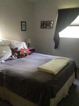 lexguess profile photo