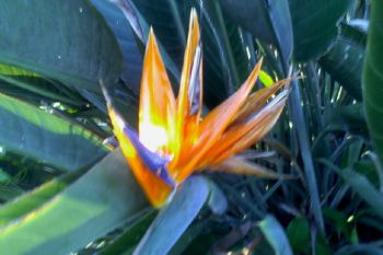 Brandy53 profile photo