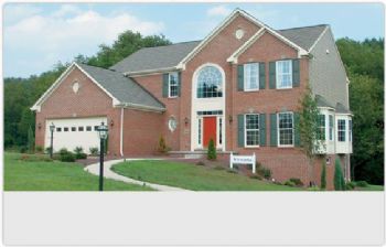 Mholiv profile photo