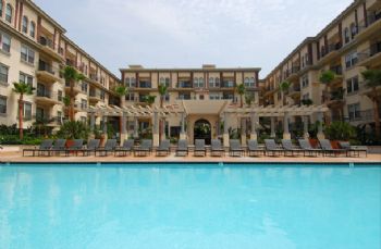 ferreira4321 profile photo