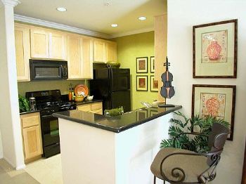 ferreira4321 profile photo