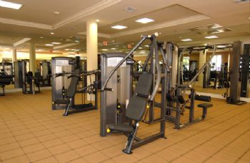 ferreira4321 profile photo