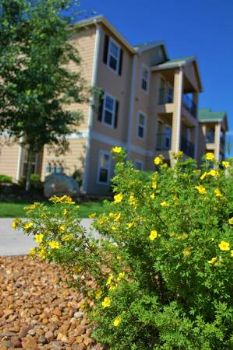 Kokesh8 profile photo