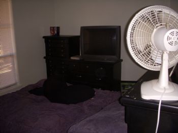 mattrs profile photo