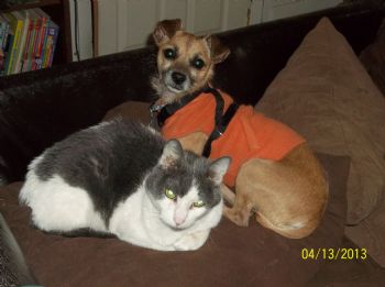 mdfangs profile photo