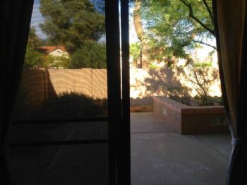 mcurtis1111 profile photo