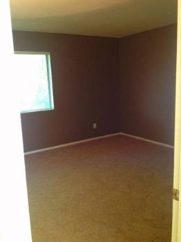 mcurtis1111 profile photo