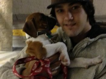 BenCallahan profile photo