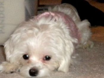 sheree203 profile photo