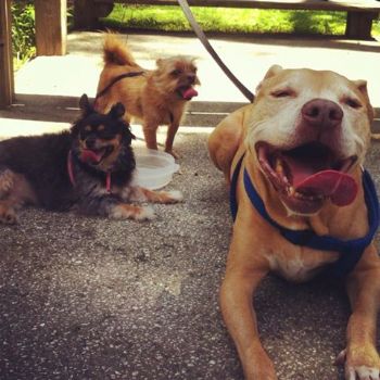 Layo591 profile photo