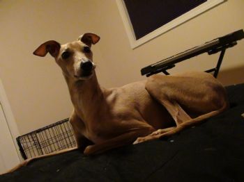 QuestionYour profile photo