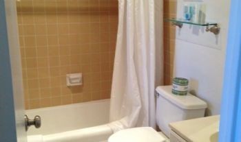 willy01 profile photo