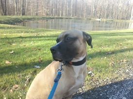 Homegrown87 profile photo