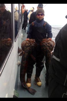 Jpitta profile photo