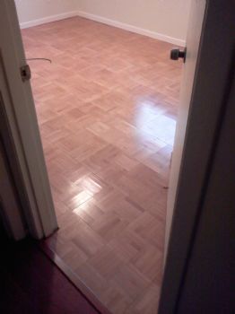 ucfknight13 profile photo