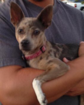 angel24n14 profile photo