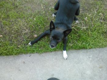 angel24n14 profile photo