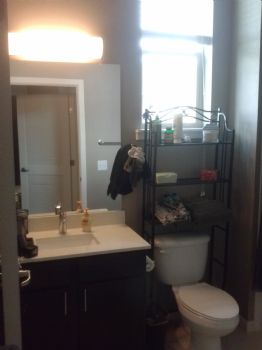 romanike profile photo