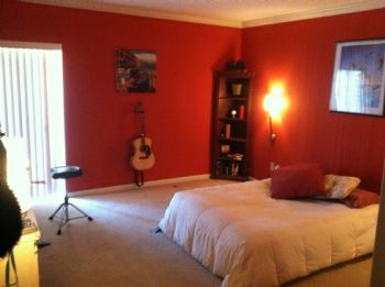 Studiopro profile photo