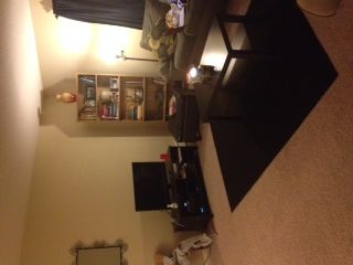 smthompson profile photo