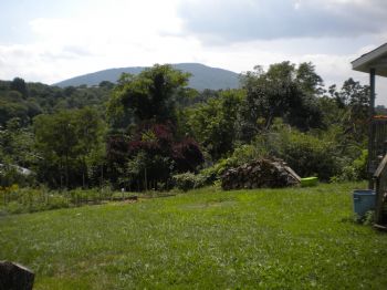 ruwuntoo profile photo