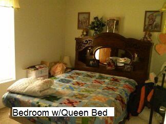 mindstartara profile photo