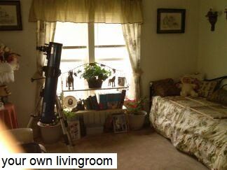 mindstartara profile photo