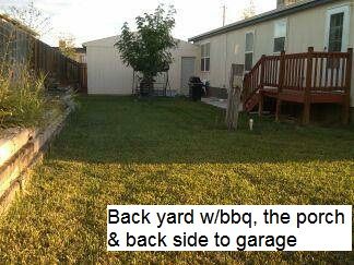 mindstartara profile photo