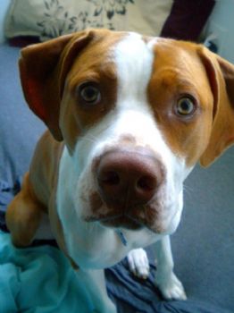 AJay08 profile photo