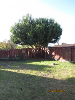 DonnaMac profile photo