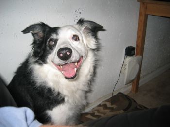 cdeetjr profile photo