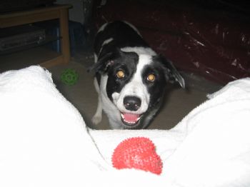 cdeetjr profile photo