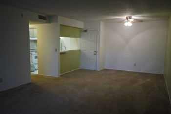 rendy1995 profile photo