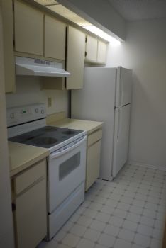 rendy1995 profile photo