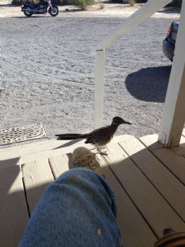 Brewster1954 profile photo