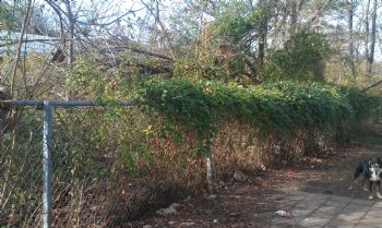 mrstaylor profile photo