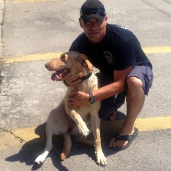 fireman74 profile photo