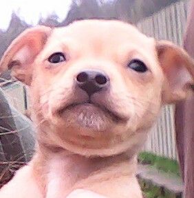 melmel32 profile photo