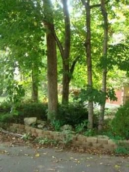 loudolou profile photo