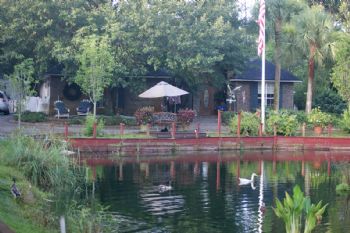 summernole profile photo