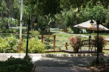 summernole profile photo